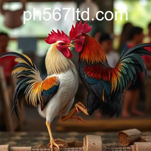 VIP Service PH567 - 24/7 Support and Exclusive Benefits